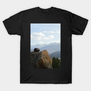 Mile High Perspective T-Shirt